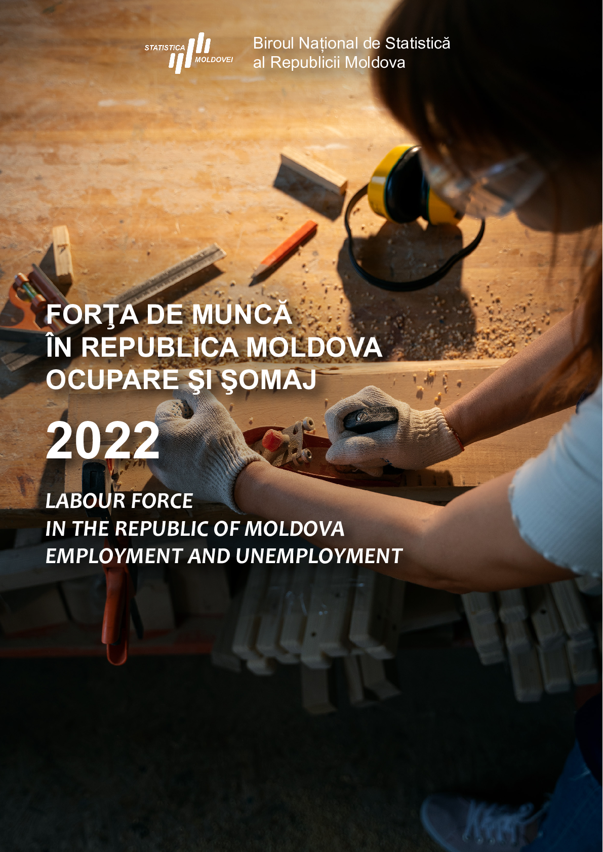 Labour force in the Republic of Moldova. Employment and unemployment (2022)