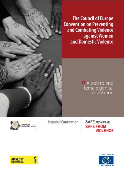 The Council of Europe Convention on Preventing and Combating Violence Against Women and Domestic Violence