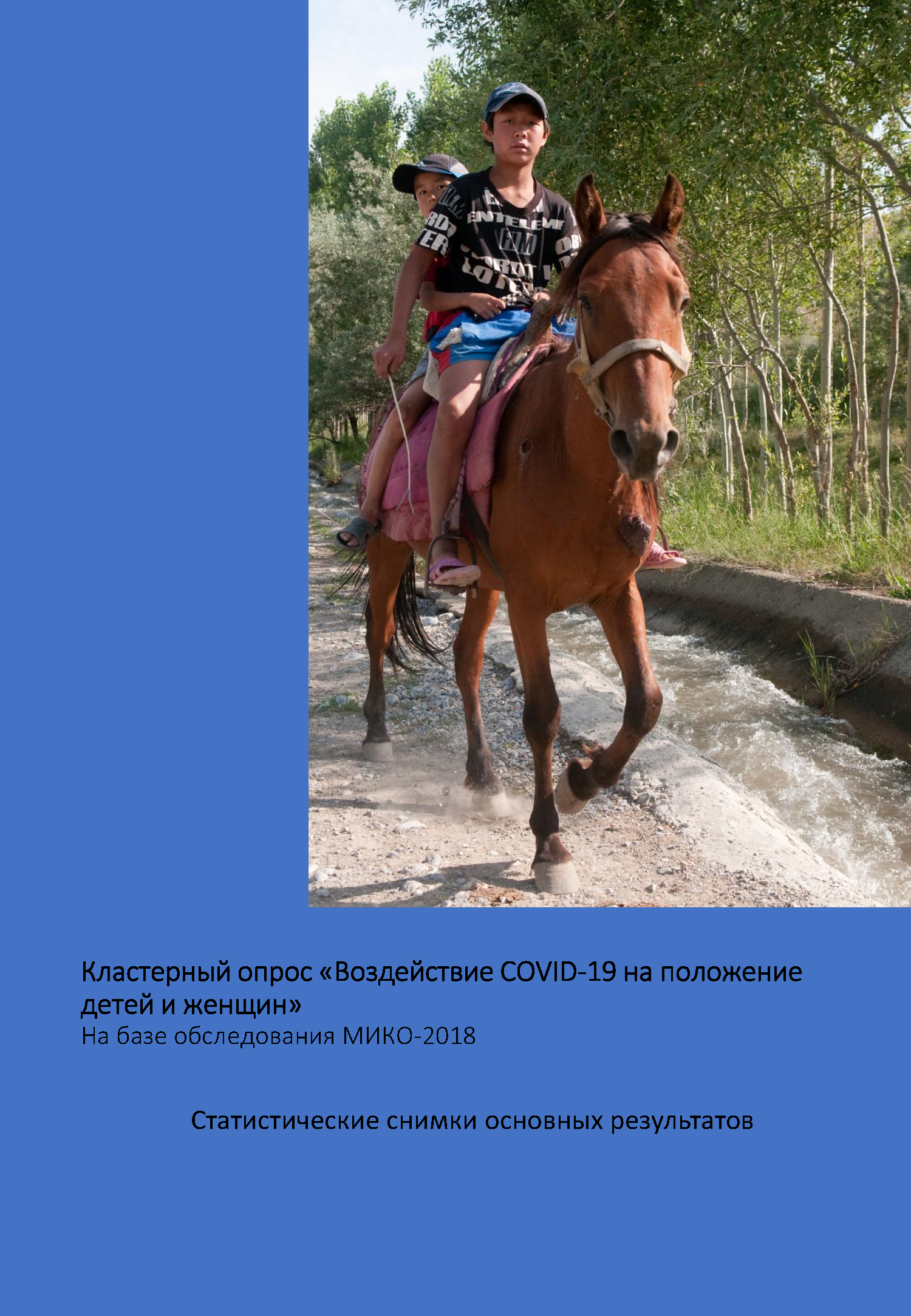 Кластерный опрос "Воздействие COVID-19 на положение детей и женщин": статистические снимки основных результатов (2021)