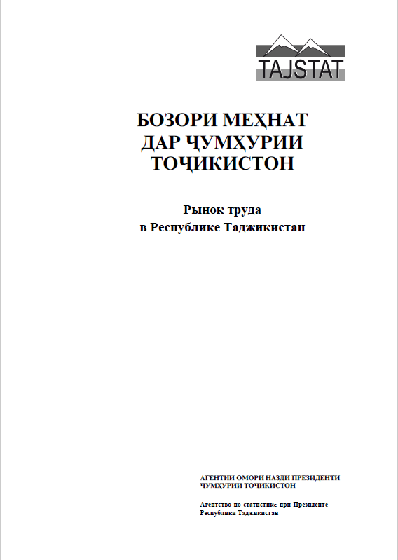 Labour market in the Republic of Tajikistan: statistical compilation (2017)