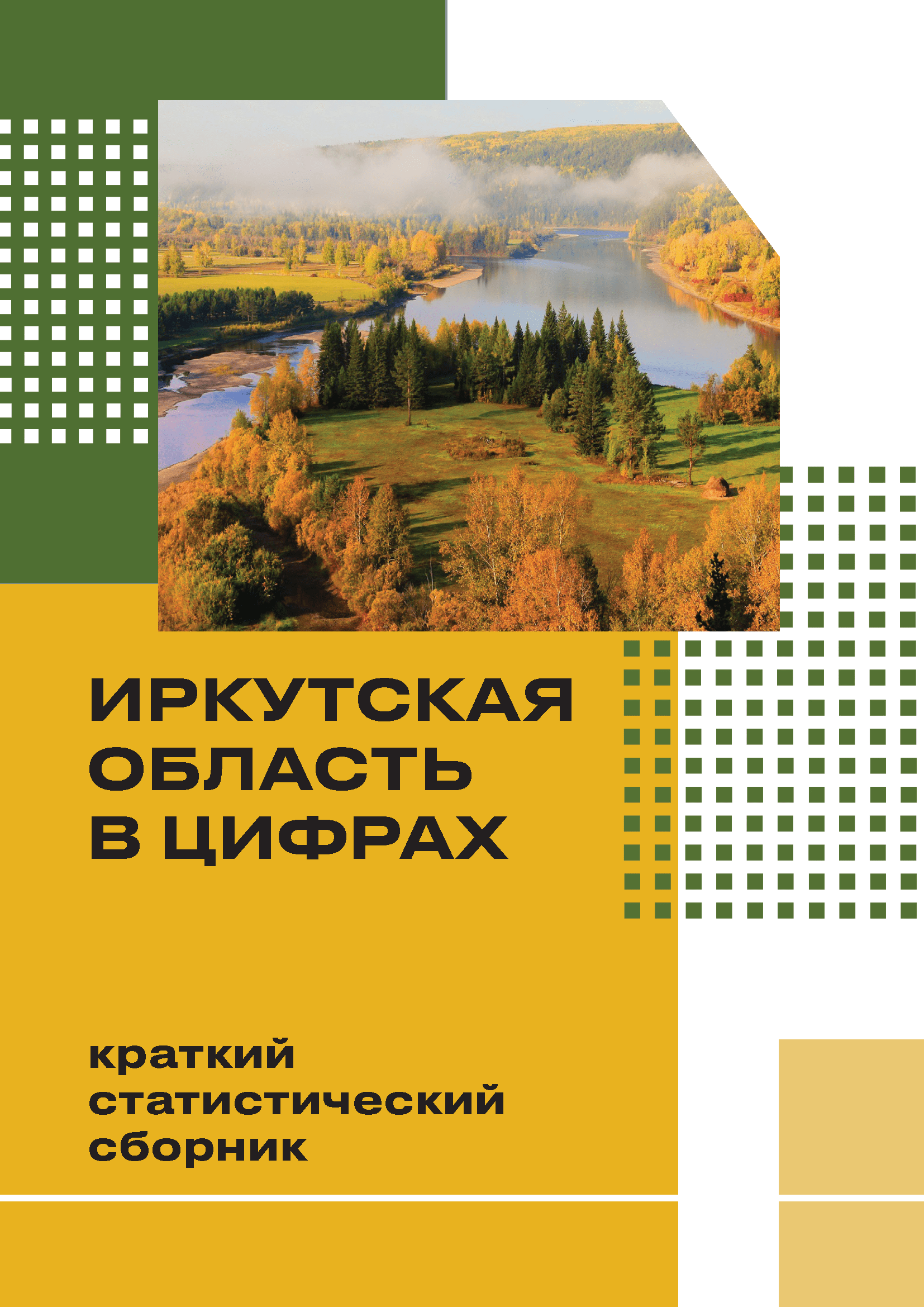 Irkutsk Region in figures (2023): brief statistical collection