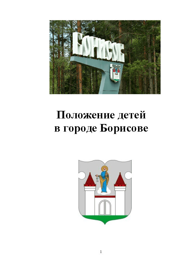 Положение детей в городе Борисове (2017)